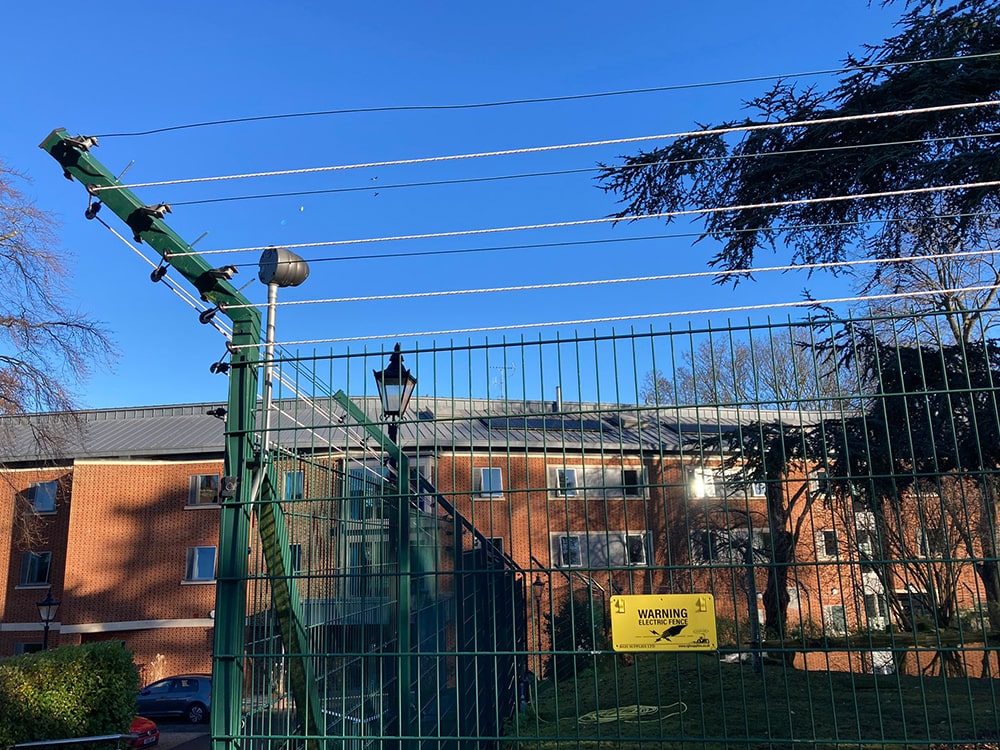 lf-fencing-others-18-min