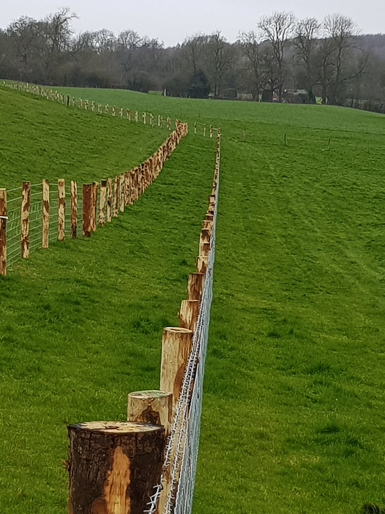 lf-fencing-side-stock-1-min