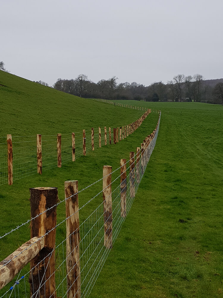 lf-fencing-side-stock-2