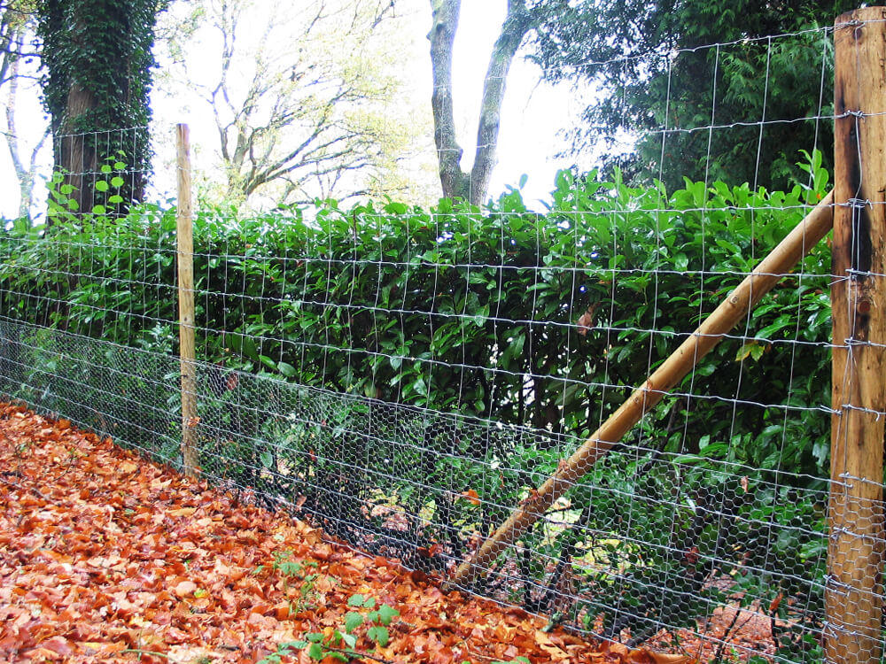 lf-fencing-side-stock-5